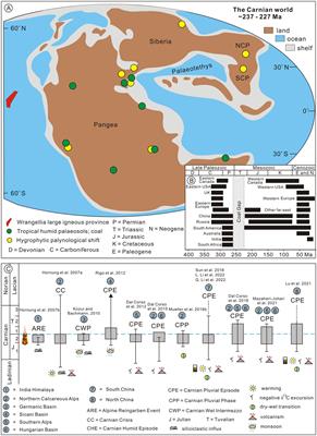 Floral response to the Late Triassic Carnian Pluvial Episode